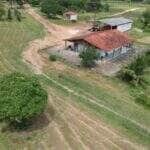 campo experimental cerrado embrapa