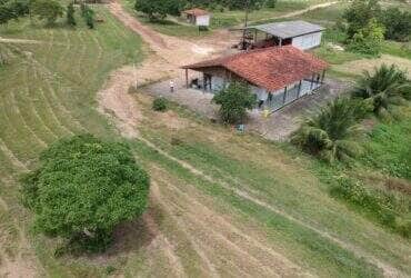 campo experimental cerrado embrapa