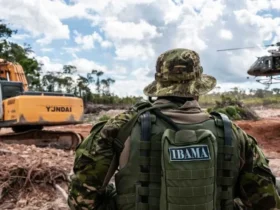 Garimpeiros tentam esconder trator durante operação contra garimpo ilegal em Mato Grosso