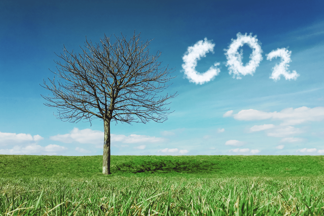 O que é o Mercado de Carbono e como ele pode impactar o seu bolso (e o planeta) 94 imagem credito de carbono