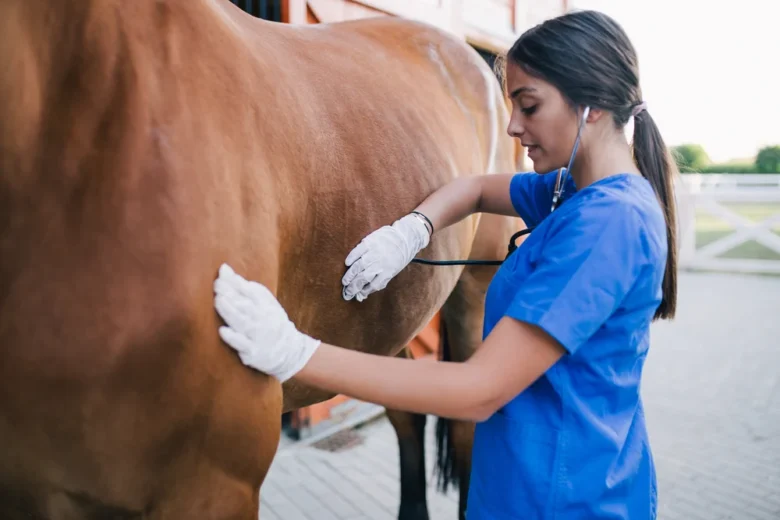 med veterinaria