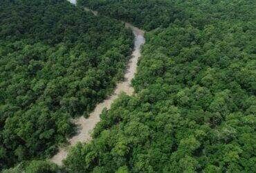 Bragança (PA), 12/06/2025 – Vista de um braço do Rio Caeté em área de manguezal na Reserva Extrativista Marinha de Caeté-Taperaçu monitorada pelo projeto Mangues da Amazônia. Foto: Fernando Frazão/Agência Brasil
