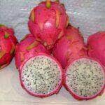 pitaya