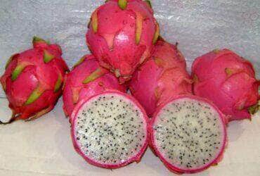 pitaya