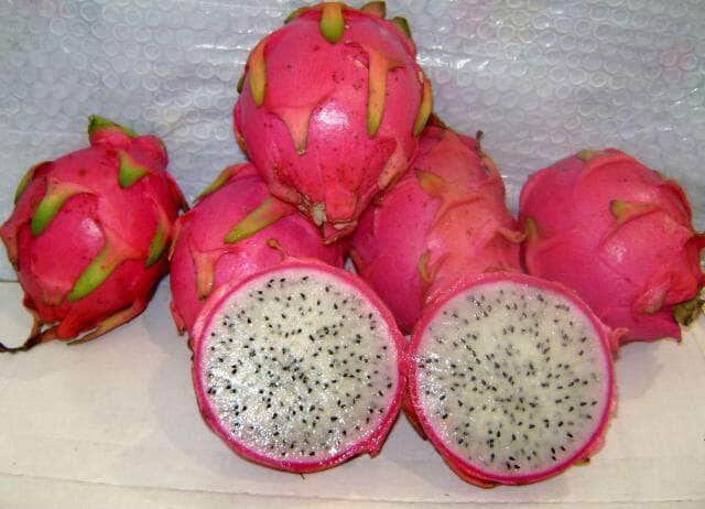 pitaya