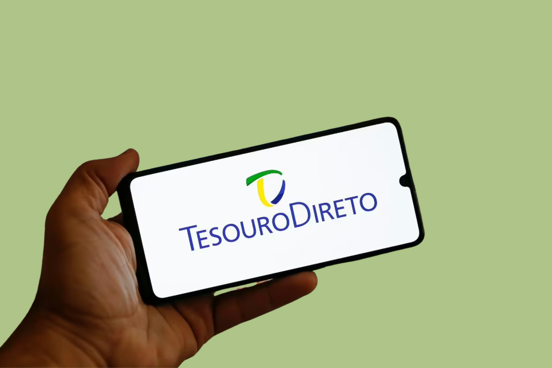 Tesouro Direto 2025: descubra como investir com segurança e rendimento acima da poupança 89 tesouro direto foto