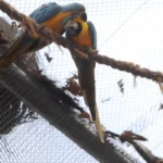 BioParque