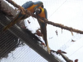 BioParque