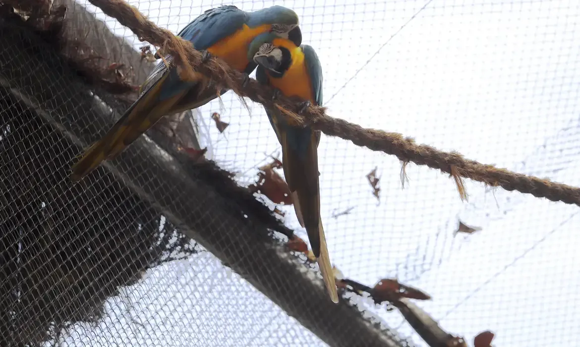 BioParque