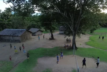 Brasil revela unidades de conservação com maior população