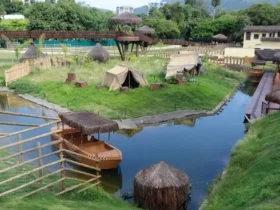 BioParque fecha temporariamente após morte de galinhas-d’angola
