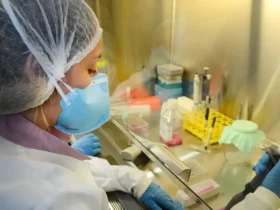 Pesquisa avança no desenvolvimento de vacina contra zika