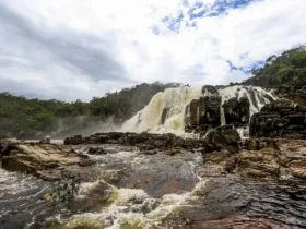 Sistema celebra 25 anos protegendo a biodiversidade brasileira