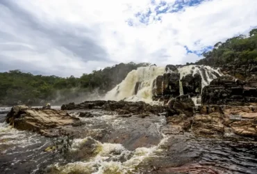 Sistema celebra 25 anos protegendo a biodiversidade brasileira