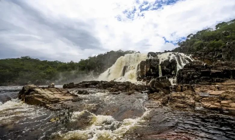 Sistema celebra 25 anos protegendo a biodiversidade brasileira