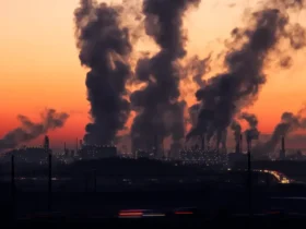 Abertas inscrições para prêmio de economia que conecta clima e desenvolvimento
