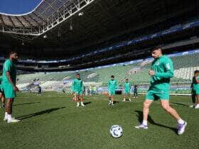Palmeiras x Mirassol: Onde assistir ao vivo, prováveis escalações e tudo sobre o duelo da 14ª rodada do Brasileirão. Imagem: Cesar Greco/Ag. Palmeiras