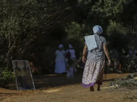 População em áreas de conservação atinge 11,8 milhões no Brasil