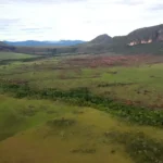 BNDES destina R$150 milhões para prevenção de incêndios