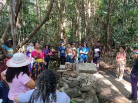 Justiça determina cronograma para regularização de território quilombola
