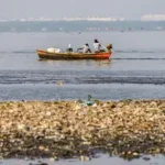 Rio de Janeiro (RJ), 29/07/2025 - Pescadores tiram 46 toneladas de lixo das baías de Guanabara e Sepetiba Foto: Rodrigo Campanário/Divulgação