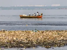 Rio de Janeiro (RJ), 29/07/2025 - Pescadores tiram 46 toneladas de lixo das baías de Guanabara e Sepetiba Foto: Rodrigo Campanário/Divulgação