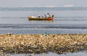Rio de Janeiro (RJ), 29/07/2025 - Pescadores tiram 46 toneladas de lixo das baías de Guanabara e Sepetiba Foto: Rodrigo Campanário/Divulgação