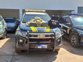 Apreensão de skunk mobiliza forças de segurança em operação conjunta