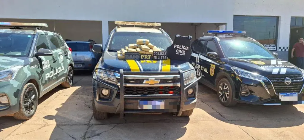 Apreensão de skunk mobiliza forças de segurança em operação conjunta