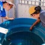 Agentes de Endemia realizam levantamentos in loco nos bairros de Varzea Grande