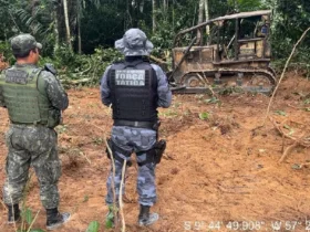Multas ambientais somam R$ 69 milhões em Mato Grosso no primeiro semestre
