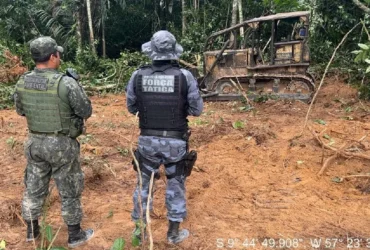 Multas ambientais somam R$ 69 milhões em Mato Grosso no primeiro semestre
