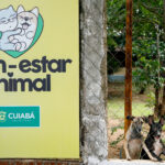Bem Estar Animal de Cuiaba recebe mais de 450 kg de racao e inicia nova fase de distribuicao solidaria