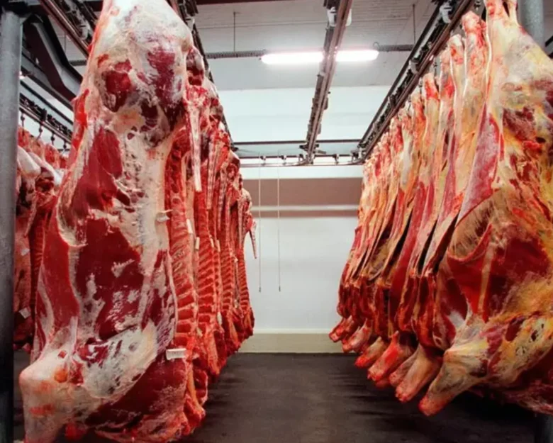 Carne para exportação