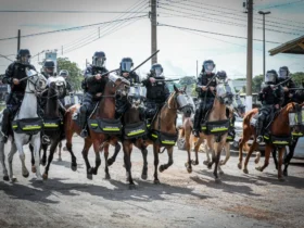 Polícia apreende menor com 42 porções de droga em Nova Mutum