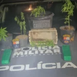 PMMT