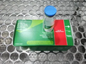 Cuidados essenciais para prevenir hepatites