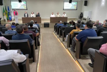 Detran-MT