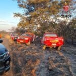 Dois servidores do IBGE morrem carbonizados ao combater incêndio perto de Brasília