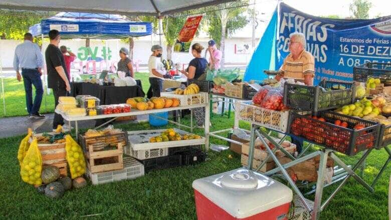 Feira da familia em Varzea Grande retorna nesta quinta com produtos frescos e delicias culinarias