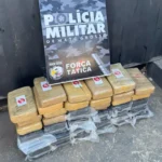 PMMT