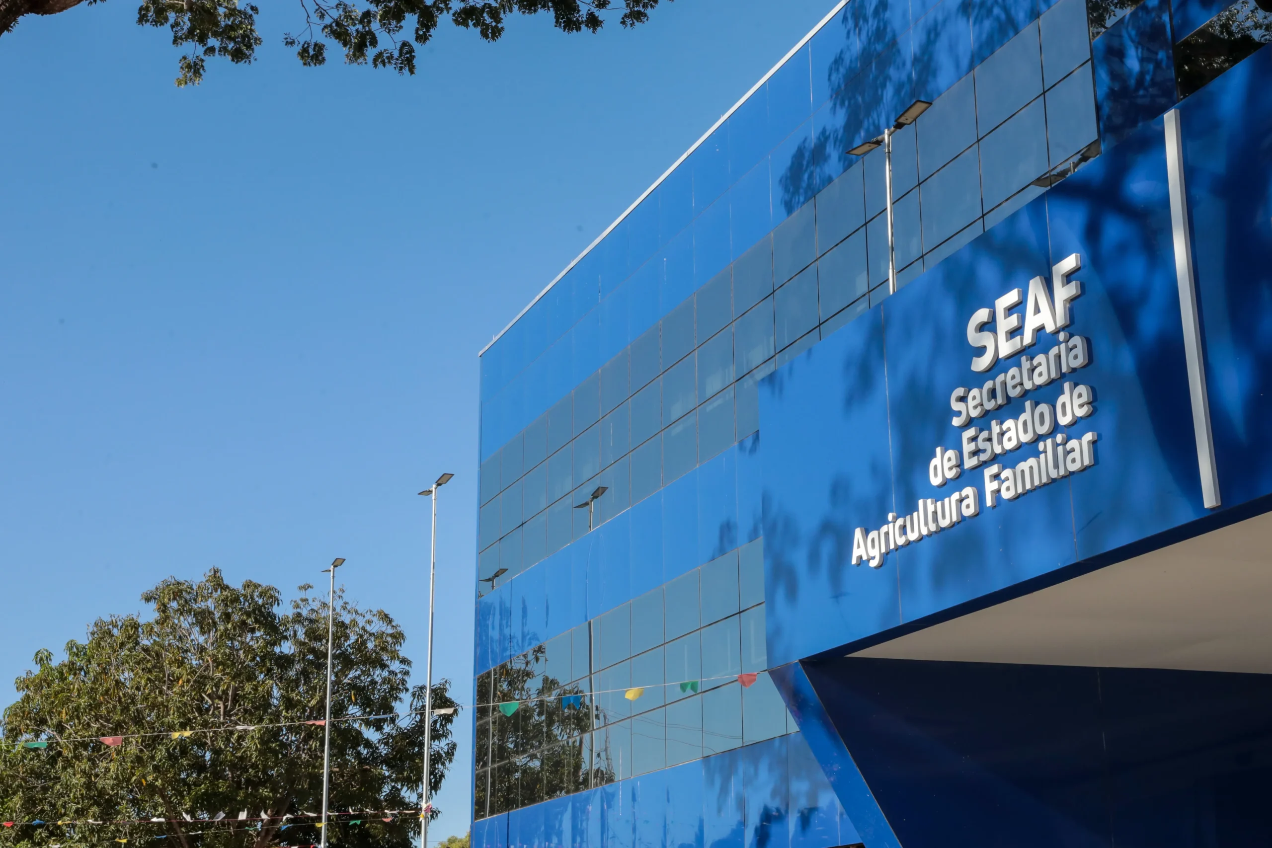 Governo de Mato Grosso lança licitação para fortalecer cadeia do leite