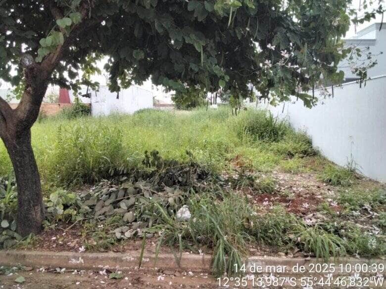 Mais 52 terrenos de Sorriso sao notificados por sujeira e mato alto