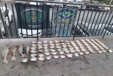 Pescado irregular é apreendido em Santo Antônio de Leverger durante operação ambiental