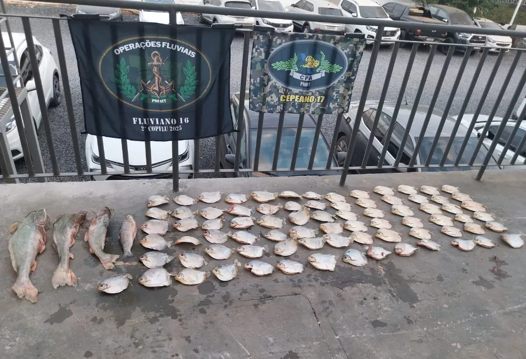Pescado irregular é apreendido em Santo Antônio de Leverger durante operação ambiental