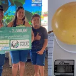 Maracuja gigante de quase meio quilo vence concurso em Carlinda