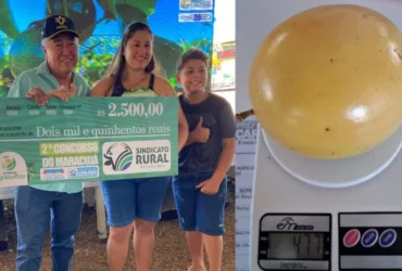 Maracuja gigante de quase meio quilo vence concurso em Carlinda