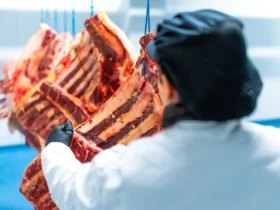 Mato Grosso bate recorde e exporta mais de 370 mil toneladas de carne em 6 meses
