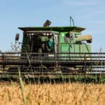 Mato Grosso amplia liderança na produção nacional de arroz de sequeiro