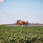 Mato Grosso impulsiona estimativa agrícola e fortalece liderança nacional